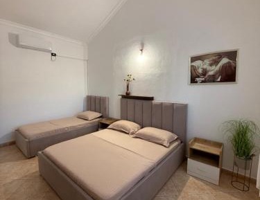 Standart Apartment 