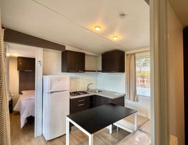 Mobile Home