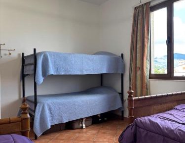 Bed in 4-Bed Mixed Dormitory Room