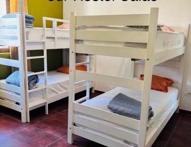 Bed in 6-Bed Mixed Dormitory Room