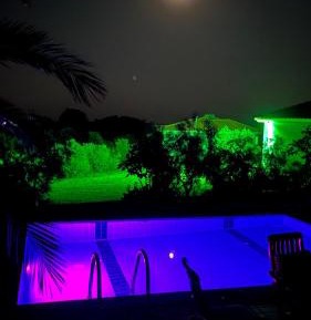 One-Bedroom Villa with Private Pool