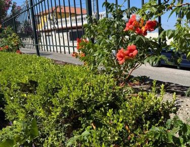 Family Studio