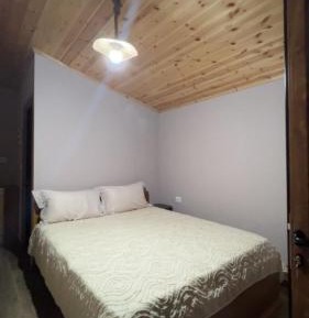 Triple Room with Mountain View