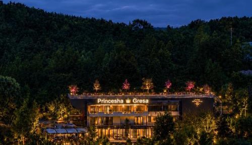 Superior Double or Twin Room with Mountain View