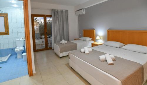 Deluxe Double or Twin Room with Garden View
