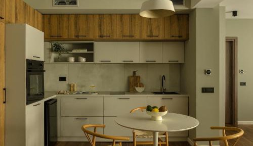 Deluxe One-Bedroom Apartment
