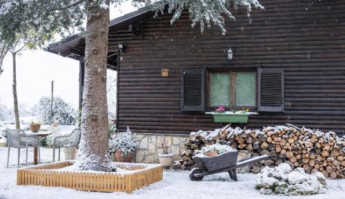 Two-Bedroom Chalet