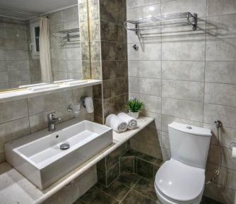 Deluxe Double or Twin Room with River View