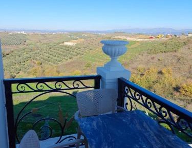 Triple Room with View