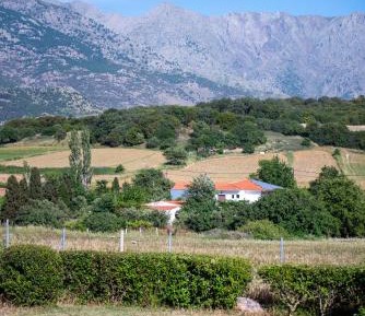 Standard Twin Room with Mountain View