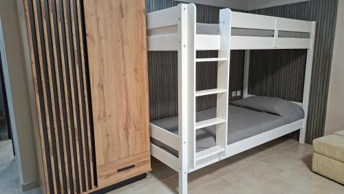 Two-Bedroom Family Apartment