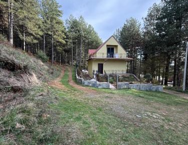 One-Bedroom Villa