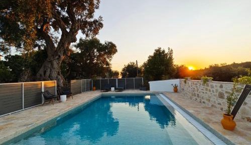 One-Bedroom Villa