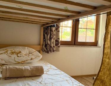 Bed in 6-Bed Dormitory Room