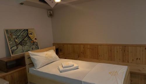 Single Bed in Mixed Dormitory Room