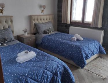 Twin Room with Lake View