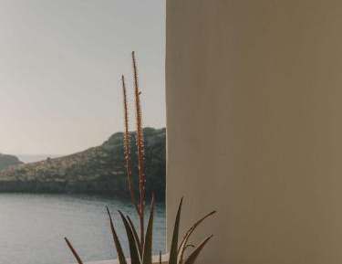 Corner Suite Sea View