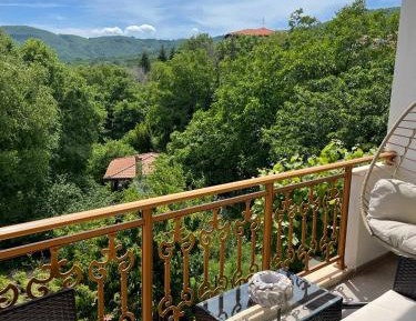 One-Bedroom Apartment with Balcony and Mountain View  