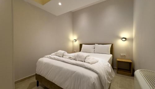 Deluxe One-Bedroom Apartment