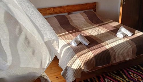 Basic Triple Room