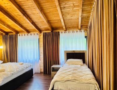 Triple Room with Mountain View