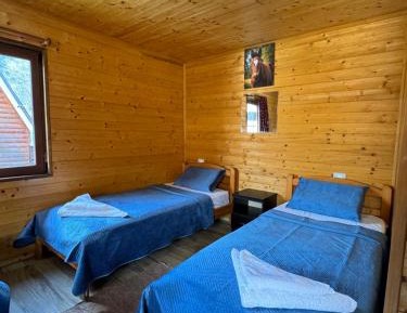 Standard Twin Room with Mountain View
