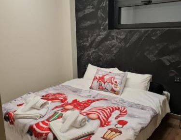 Two-Bedroom Superior Apartment