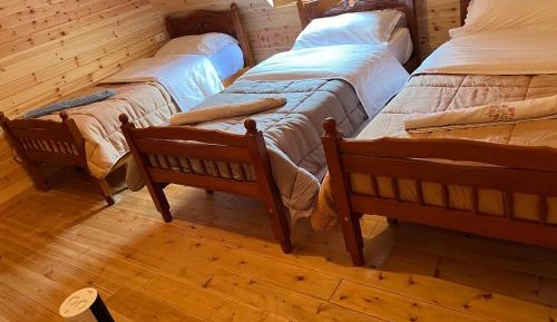 Triple Room with View