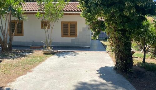 Room #1183962501