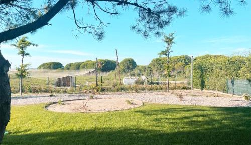 Villa with Garden View