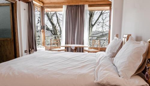 Double or Twin Room with Mountain View