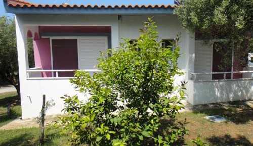 Studio (3 Adults)