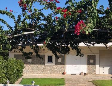 Villa with Garden View