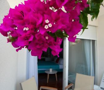Deluxe Double Room with Balcony and Sea View