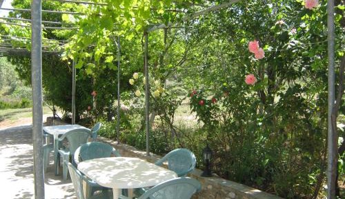 Studio with Garden View