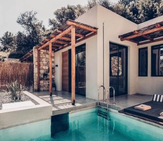 Senior Retreat With Private Pool & Olive Farm View