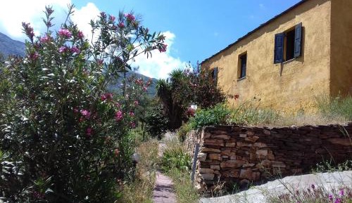 One-Bedroom House