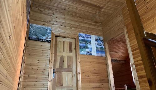 Mixed Dormitory Room