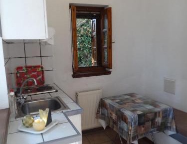 Studio with Garden View