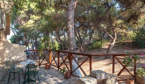 Double or Twin Room with Forest View