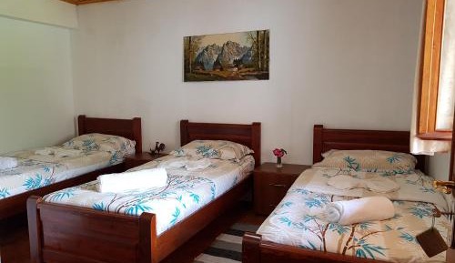 Basic Triple Room
