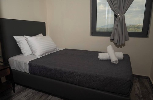 Sarkhos Villa | Olive Tree