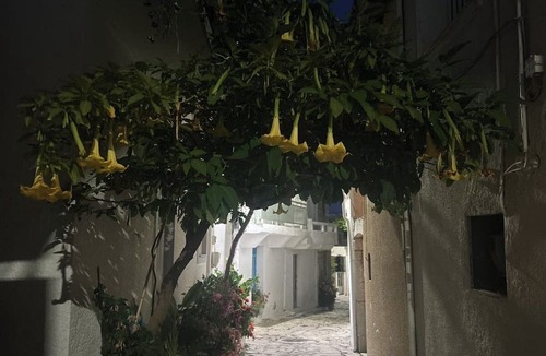 Lassithi Prefecture House | Petra - Peaceful mountain retreat in Kalamafka Crete