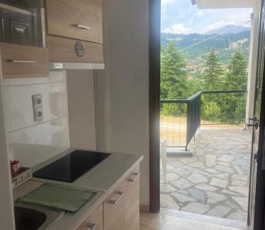 Central Tzoumerka Apartment | Ble Elia Larose