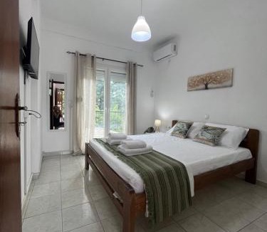 Central Tzoumerka Apartment | Ble Elia Biziersa