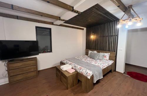 Pejë Villa | Villa Albani