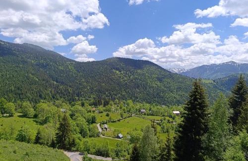 Vitomiricë Villa | Villa HOKAJ