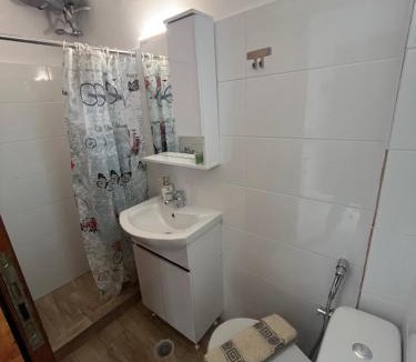 Central Tzoumerka Apartment | Ble Elia Moloyma Suite