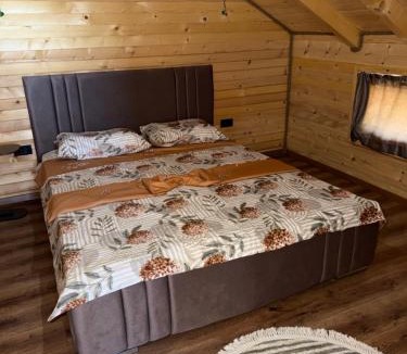 Kolovicë Villa | Golden view Villa