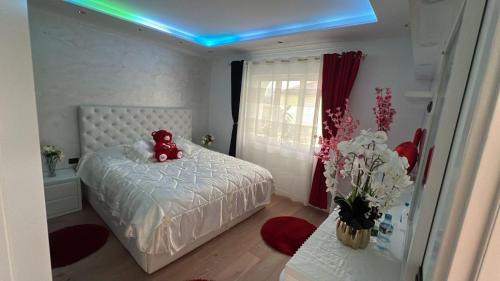 Shkoder Villa | Shporaj Villa